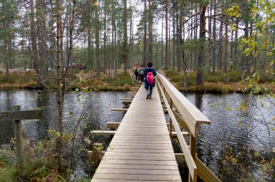 2016.10フィンランド出張講演旅行8-Nuuksio国立公園　Haukkalampi，Holma-Saarijarvi