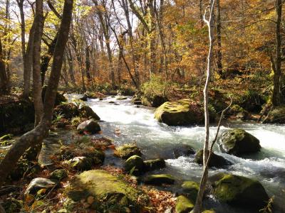 東北紅葉巡り旅  3日目・奥入瀬渓流散策&十和田湖