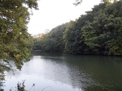 震生湖（秦野市）へ行ってきました・・・