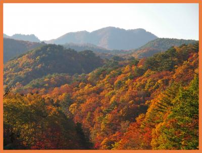 錦繍で彩られた山々に囲まれて・・・面白山高原の紅葉は・・・やっぱり絶景だ～～！