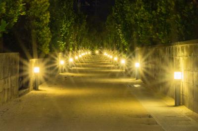 沖縄離島めぐり 【渡名喜島】