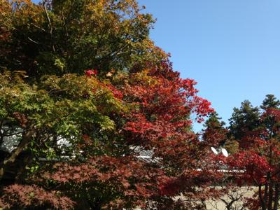 〇日帰り近江散策〇長命寺、観音正寺と安土城跡