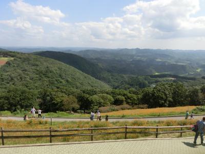 ２０１５年　６歳児と行く千葉県のマザー牧場