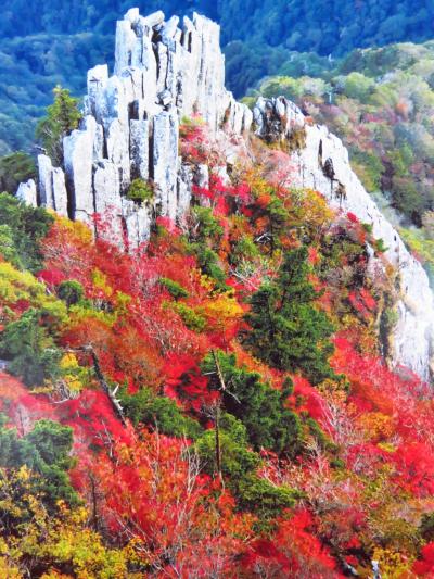 日本一周の旅　天空の郷久万高原～石鎚山編