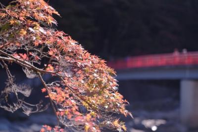 刀削麺食べたくて一人で香嵐渓。分かっちゃいたけど紅葉には早過ぎた。