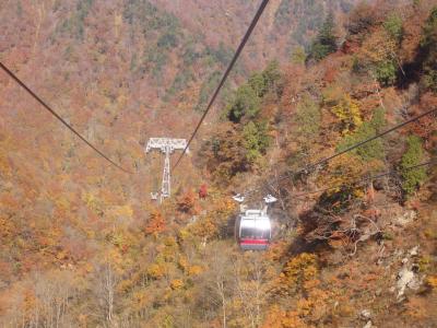 日本晴れの谷川岳へ絶景と紅葉を見に行く