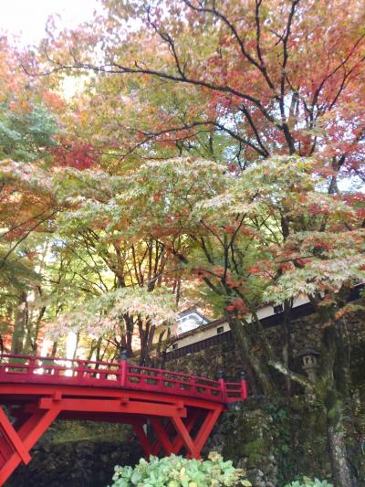 紅葉が始まったばかりの横蔵寺