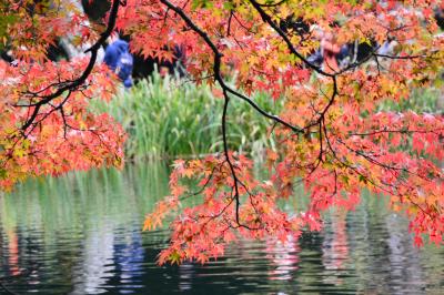 中山道ウォーク　最大の難所・碓氷峠を超えたら軽井沢の紅葉が待っていた