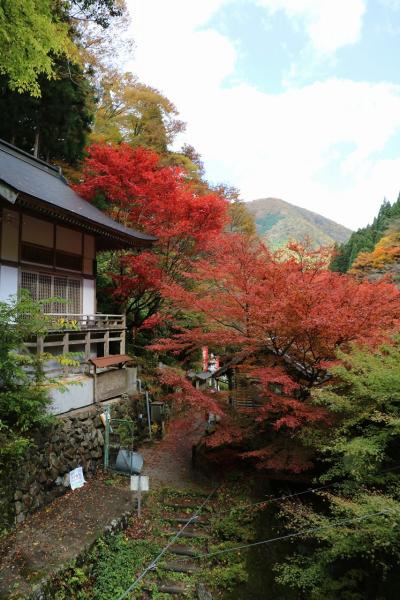 読み書きしにくい宍粟（しそう）の紅葉めぐり