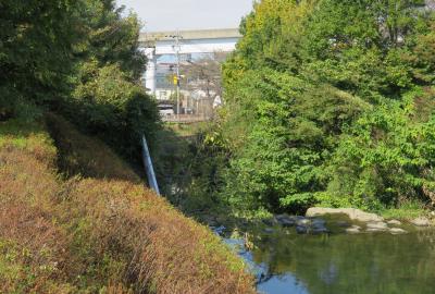 2016秋、川村北城址と所縁の寺社(2/4)：御嶽神社から白沢渓谷へ、白沢川、カルガモ