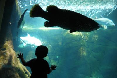 子連れハワイ　いっぱい食べて遊んで買い物した１０日間　Part3