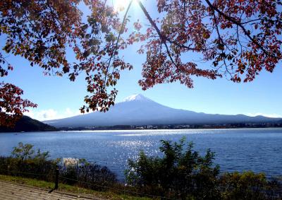 富士山と紅葉を求めて駿河路・甲斐路の旅　2日目　☆山中湖・河口湖