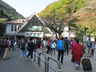 高尾の紅葉と津久井山ユリ園（１）高尾駅前の賑わい。