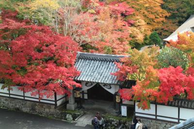 もうすぐ紅葉が見頃！ そんな京都に行ってみた