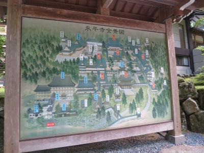 恐竜を見に福井へ、２泊３日旅行③