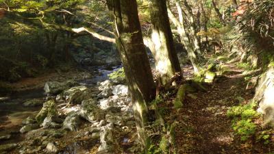 紅葉の小田深山渓谷の道　松山→砥部→小田→小田深山