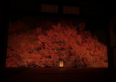 日本の絶景シリーズ【安国寺 深紅編】