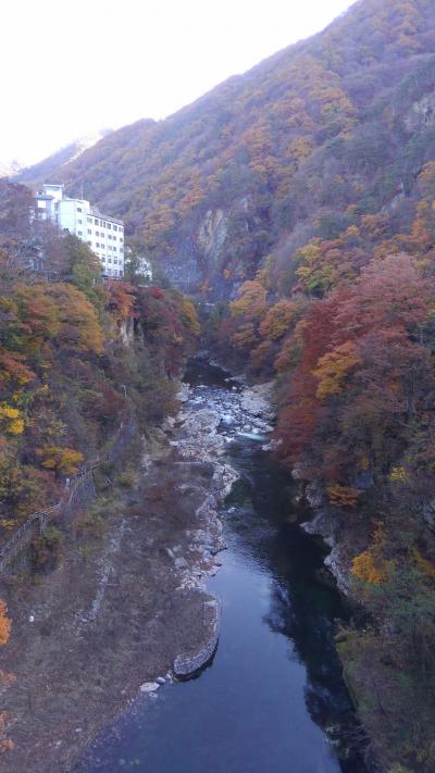 両親を連れて老神温泉で一泊、紅葉を愛でる旅