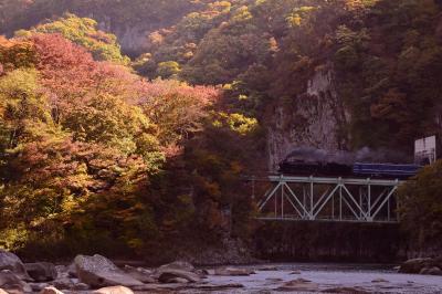 JR上越線・綾戸渓谷と利根川周辺に広がる紅葉を探しに訪れてみた