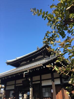 【京都アートさんぽ】若冲生誕300年　信行寺『花卉図天井画』特別公開2016