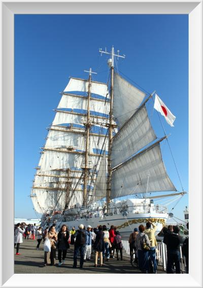 純白の帆が輝く　青空の名古屋港ガーデン埠頭　海王丸セイルドリル♪