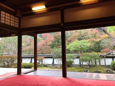 秋を感じて・・歩く奈良（正暦寺・興福寺・ならまちへ）