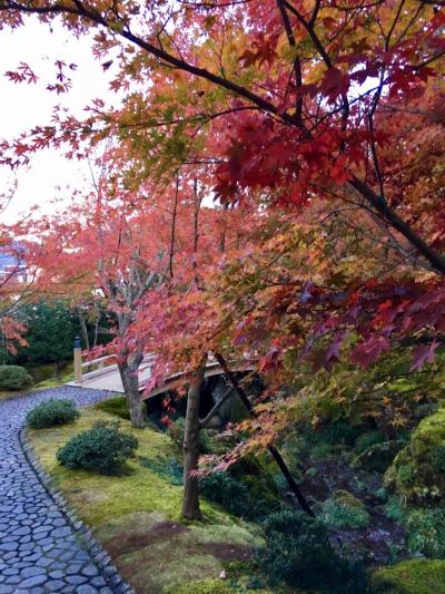 紅葉ドライブ 箱根美術館編