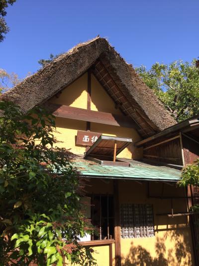 久しぶりの名城市民茶会＊一期一会の優雅な一時を愛でる(^-^)子供さんも国内外の観光客も皆様ほっこり～・と・娘婿の見送りでセントレアへ