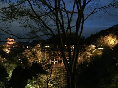 京都　清水寺夜桜へ