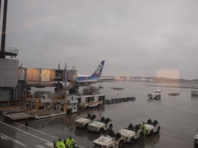 2016年秋の旅　in香港　その１～香港到着まで～