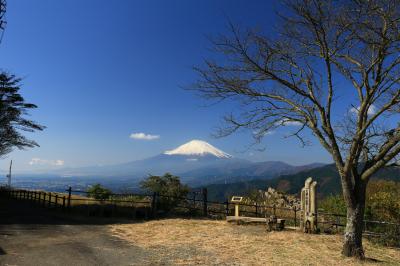 大野山ハイキング