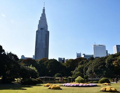 小春日和の新宿御苑で秋をあそぶ。