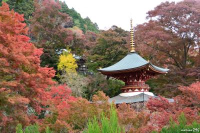 北摂の紅葉の名所・勝尾寺へ