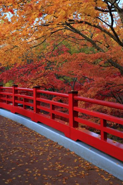 新潟　紅葉めぐり～弥彦公園　もみじ谷、旧齋藤家別邸、北方文化博物館、旧県知事公舎記念館