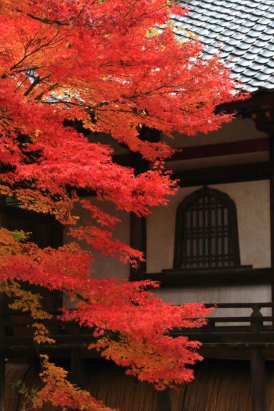 長野　紅葉めぐり～称念寺、西敬寺、正受庵、清水寺