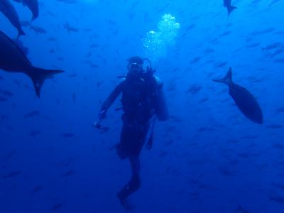 確かにガラパゴス諸島でダイビングするのは世界最強かも知れない。　　持ち物編