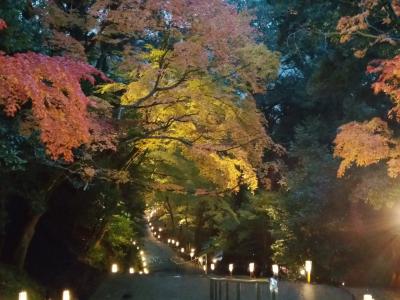 そうだ、紅葉狩りに行こうパート１(神護寺と瑠璃光院)