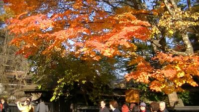 姉妹夫婦でみちのく旅行（二日目）