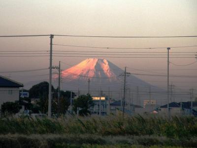 今朝の早朝ウォーキングは北風が強い影響で富士山の素晴らしい姿を見ながら歩くことが出来た
