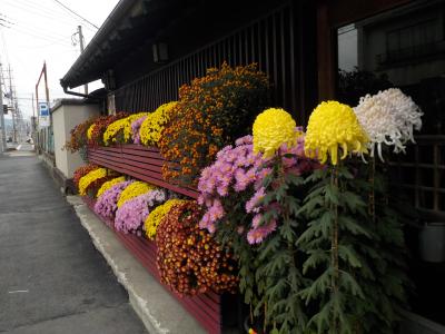 笠間稲荷神社と菊祭り