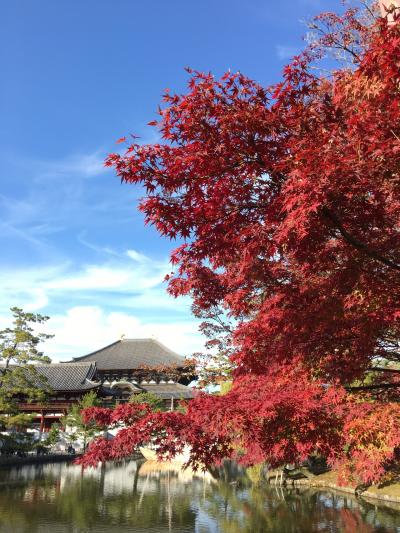 大人の遠足in奈良