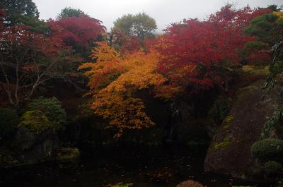 箱根美術館で紅葉～～！