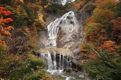 白山白川郷ホワイトロード