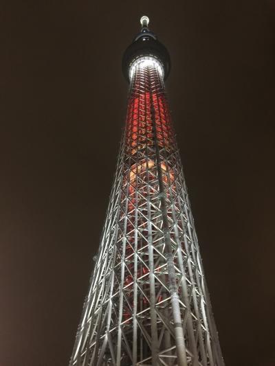 すみだ水族館 虻川実花クラゲ展 &amp;ペンギンに会いたい