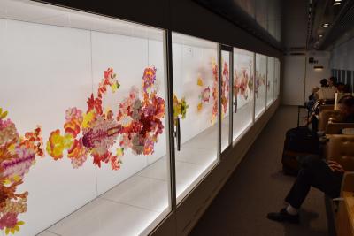 現代アートの走る美術館「現美新幹線」（長岡）