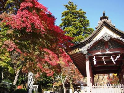 ＜坂東三十三観音巡礼・つくば編１＞秋色に染まる筑波山・研究学園都市は紅葉の見頃です！