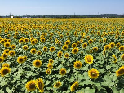 2016夏休み家族旅行 in 北陸