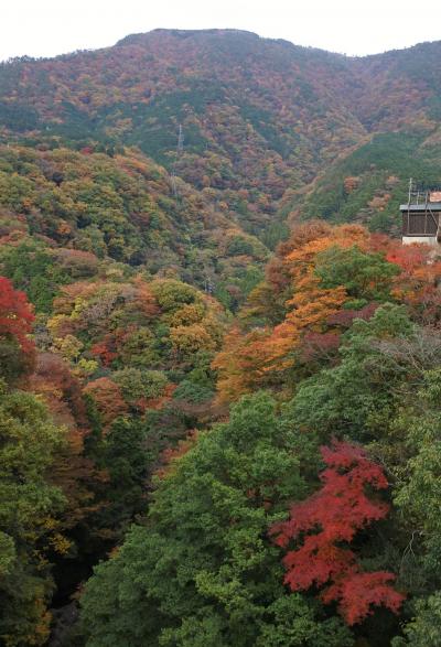 箱根の紅葉はまだまだ見頃（11月17日）