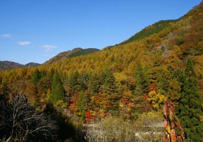 せせらぎ街道の紅葉