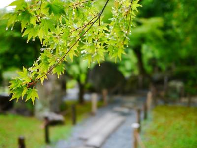 名古屋*三重*京都旅 in 2016夏休み <初日>